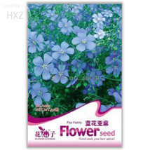 New Fresh Beautiful Flower Blue Flax Seeds Pack 30 Seeds Balcony Potted Bonsai P - $10.32