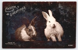 Easter Greetings Rabbits Bunnies 1907 Real Photo Youngsville NY Postcard A38 - £10.31 GBP