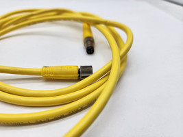 Allen-Bradley 889P-F3ABPM-2  SER. B QD Patchcord 2M  - $15.25