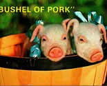  Bushel Of Pork Piglet Pigs Dressed Up No Place to Go Chrome Postcard Un... - $2.92