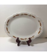 Oval Plate Platter Homer Laughlin Best China Brown Leaves Restaurant War... - £15.56 GBP