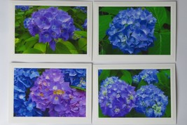 Set of 4 Hydrangea Floral Photo Greeting Cards, Blank Inside, 5X7, Great Gift! - £9.69 GBP