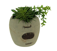 Zeckos Artificial Succulents in Rustic Apple Shaped Wood Planter - £15.98 GBP