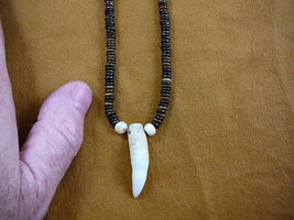 G159-200) 1-1/2" GATOR Aligator T**th brown  water buffalo Bead NECKLACE - $18.39