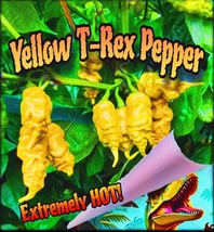 Yellow T-Rex Pepper - 12 Seeds - Extremely HOT! - £3.91 GBP