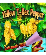 Yellow T-Rex Pepper - 12 Seeds - Extremely HOT! - £3.93 GBP