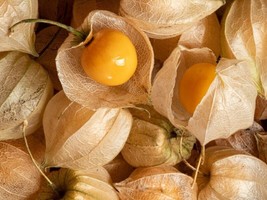 ArfanJaya Cape Gooseberry Tomatillo Seeds 100 Ct Large Fruit Husk Goldenberryusa - £6.25 GBP