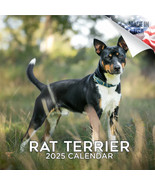 RAT TERRIER Wall Calendar 2025 Animal DOG PET Lover Gift Breed - £19.50 GBP