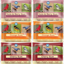 Berry Blend Suet Cakes for Wild Birds - No Mess Suet Feed, Food for Woodpeckers, - £30.87 GBP