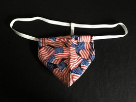 New Mens USA American Flag Memorial Day Gstring Thong Male Lingerie Unde... - £15.12 GBP