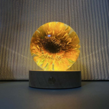 Teddy Bear Sunflowers Preserved in Resin Sunflowers Gifts with light - $56.30