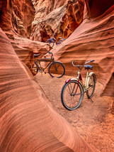 Owl Canyon Trio by Todd Van Fleet Bike Cycling Bicycle Canvas Giclee 34x24 - £276.97 GBP