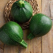 Round Zucchini - Seeds - Organic - Non Gmo - Heirloom Seeds – Vegetable Seed - £4.68 GBP