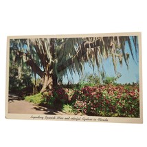 Postcard Legendary Spanish Moss And Colorful Azaleas In Florida Chrome Unposted - £5.51 GBP