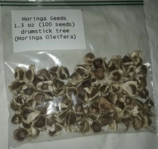 Moringa Seeds 1.3 oz (100+ seeds) drumstick tree (Moringa Oleifera) - £6.23 GBP