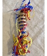 Super Bird Creations Fiesta Millet Holder Foraging Toy Small/Medium Pet ... - $80.91 MXN