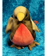 Early the Robin Ty Beanie Baby w/Tag Errors Retired Rare 1997 1998 Excel... - $57.56 MXN