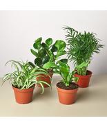 Pet Friendly Variety Bundle - $32.99+