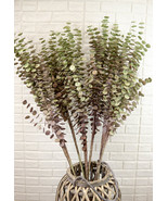 Set of 6 Realistic Artificial Botanica Shrubs Faux Plants Fern Grass Lea... - $123.48 CAD