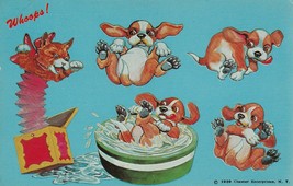 Vintage Postcard Beagle Puppies Cat Jack in the Box Tub of Water Unused 1959 - £6.35 GBP
