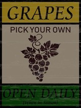 Grapes Open Daily Wine Fruit Vintage Retro Classic Metal Sign - £15.94 GBP