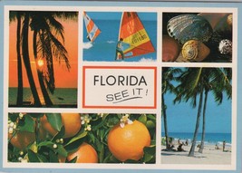 ZAYIX Postcard Fabulous Florida See It! Palm Tree Orange Seashell 102022... - £3.92 GBP
