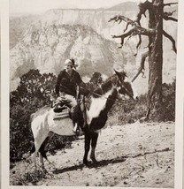 1927 Woman On Horse Zion National Park Utah Photo Print Antique Ephemera - £19.65 GBP