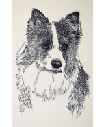 Border Collie Dog Art Portrait Word Drawing #46 Kline adds your dogs nam... - $49.95