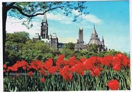 Ontario Postcard Ottawa Tulip Beds Major Hill Park Parliament Buildings - $2.18