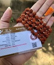 LABORATORIO CERTIFICATO 5 Mukhi RUDRAKSHA Rudraksh Mala ROSARY 108 + 1 B... - $13.15