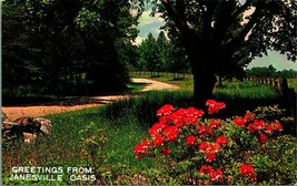 Scenic Country Road Greetings  Janesville Oasis Wisconsin WI Chrome Postcard B5 - £2.28 GBP