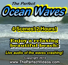 The Perfect Ocean Waves DVD Ambient Water Video Relaxing Beach Scenes Real Audio - £6.75 GBP