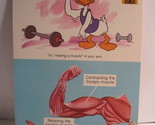1978 Walt Disney&#39;s Fun &amp; Facts Flashcard #DFF4-3: Moving Muscles - $2.00