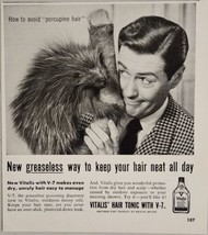 1955 Print Ad Vitalis Hair Tonic for Men Man &amp; Taxidermy Porcupine Stuffed - £9.21 GBP