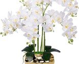 White Silk Orchids Faux Orchid Plant In Gold Pot Fake Flower Arrangement... - $77.99
