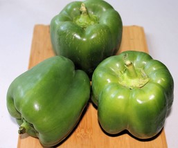 40 Quality SEEDS -Keystone Resistant Giant Pepper, natural All Natural vegetable - £3.20 GBP