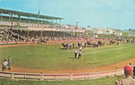 Lewisburg Roncevert Wv~State Fair Draft Horse SHOW-BLUE Grass Bowl Postcard - £9.62 GBP