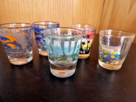 Vintage Set of 5 Hawaii Shot Glasses Barware - $10.39