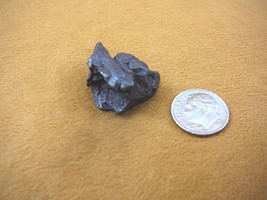 (x262-471) 19 g Campo del Cielo iron meteorite 1576 Argentina fragment s... - $41.13