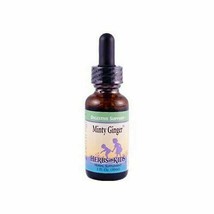 NEW Herbs For Kids Minty Ginger Digestive Support Suppplement 1 fluid ounce - $18.76