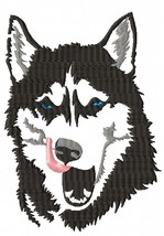 Noble Husky Head Portrait Machine Embroidery Design - $4.45