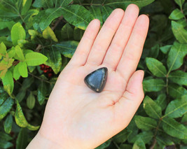 1 Shungite Specimen Tumbled Stone; Medium (Crystal Healing Gemstone Reiki)  - £9.35 GBP