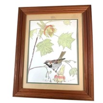 Framed Color Pencil Sparrow Drawing By W. Bruhns A Bird In A Tree Flower... - $93.49