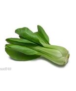 300+ Pcs Baby Choy Seeds Chinese Cabbage Shanghai Baby Bok Choi Vegetabl... - $54.41 MXN