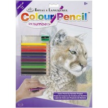 Color Pencil By Number Kit Pack of 3 - $791.36 MXN