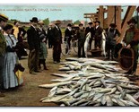 Morning Fishing Catch Santa Cruz CA 1909 DB Postcard U16 - £6.26 GBP