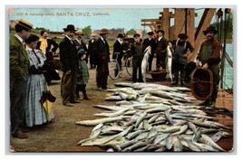 Morning Fishing Catch Santa Cruz CA 1909 DB Postcard U16 - £6.26 GBP