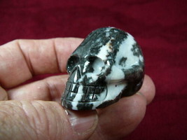 (HH-132-F) Human Skull Black + White Tiger Zebra Striped Gemstone Skulls Man - £18.37 GBP
