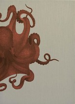 Wall Art Print 19th C Octopus Study 47x65 65x47 Coral Pink Linen Unfram - £576.13 GBP