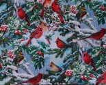 Cotton Cardinals Birds Nature Winter Christmas Fabric Print by the Yard ... - $12.95